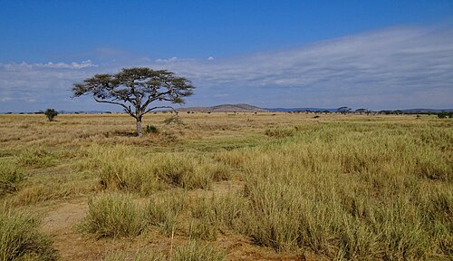 Serengeti National Park